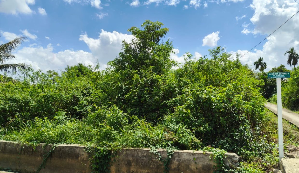 DIJUAL TANAH SEKOJO PALEMBANG (3)