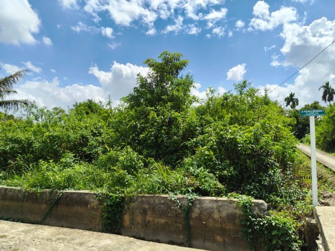 DIJUAL TANAH SEKOJO PALEMBANG (0,2)