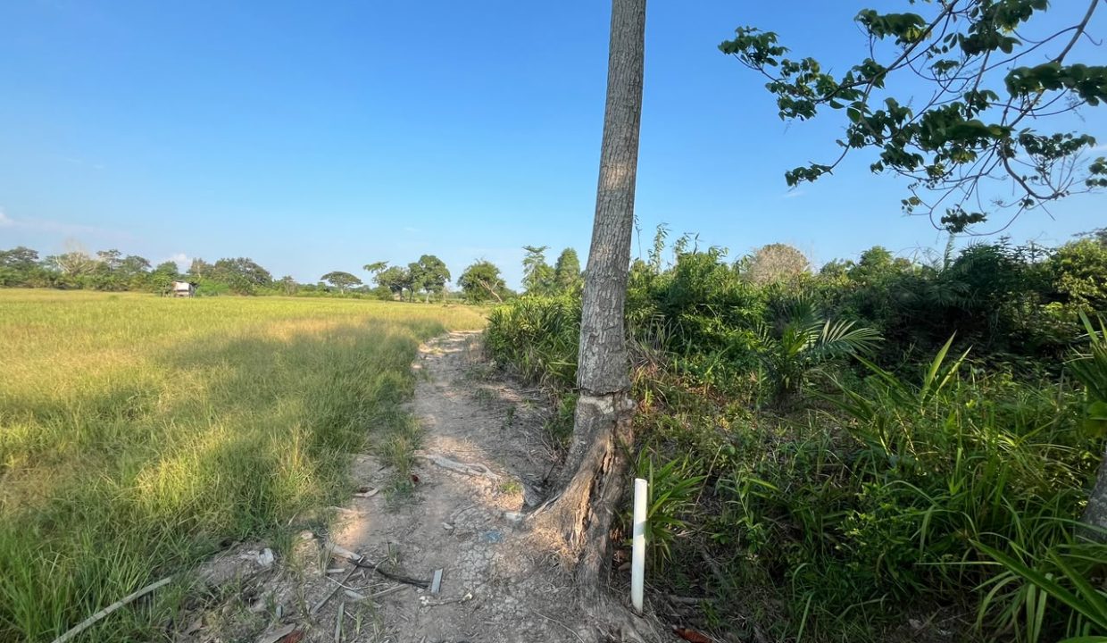 DIJUAL TANAH SOAK BATOK PALEMBANG (1)