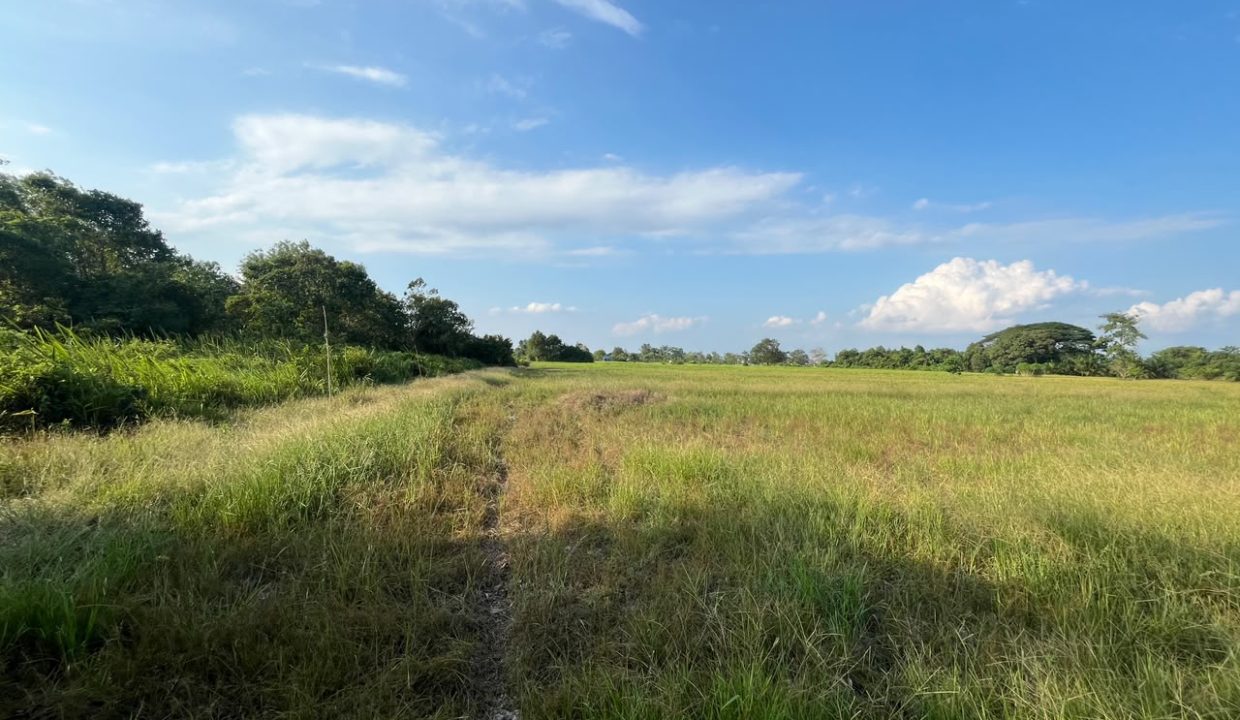 DIJUAL TANAH SOAK BATOK PALEMBANG (1,0)