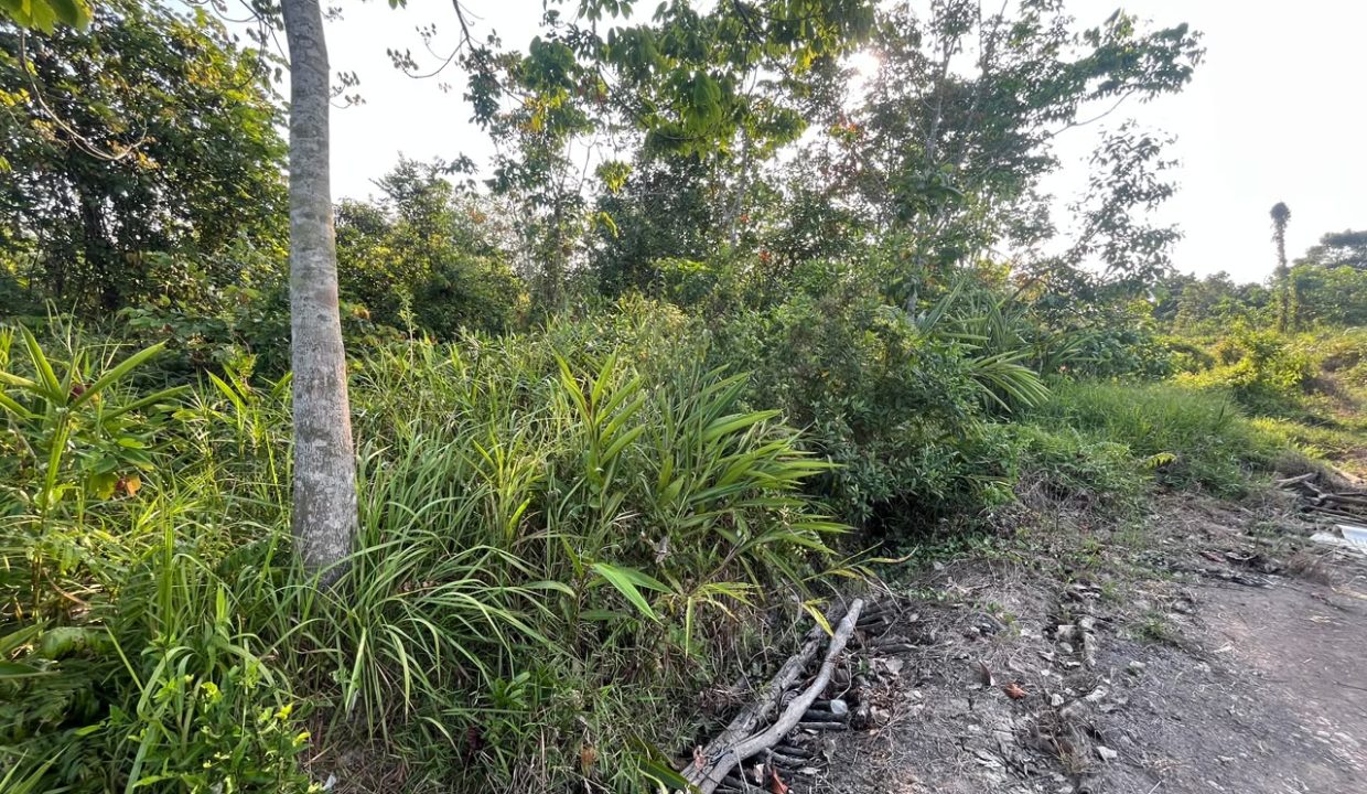 DIJUAL TANAH SOAK BATOK PALEMBANG (4)