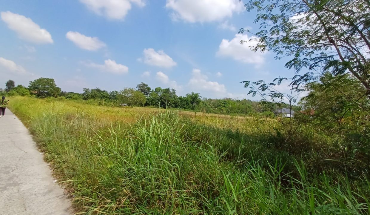 DIJUAL TANAH SUKASARI TALANG KELAPA PALEMBANG (5)