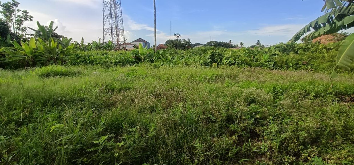 DIJUAL TANAH SULTAN MANSYUR PALEMBANG (2)