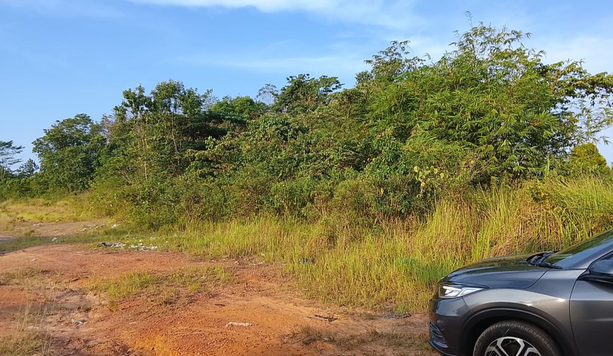 DIJUAL TANAH TANJUNG MERBAU (2)