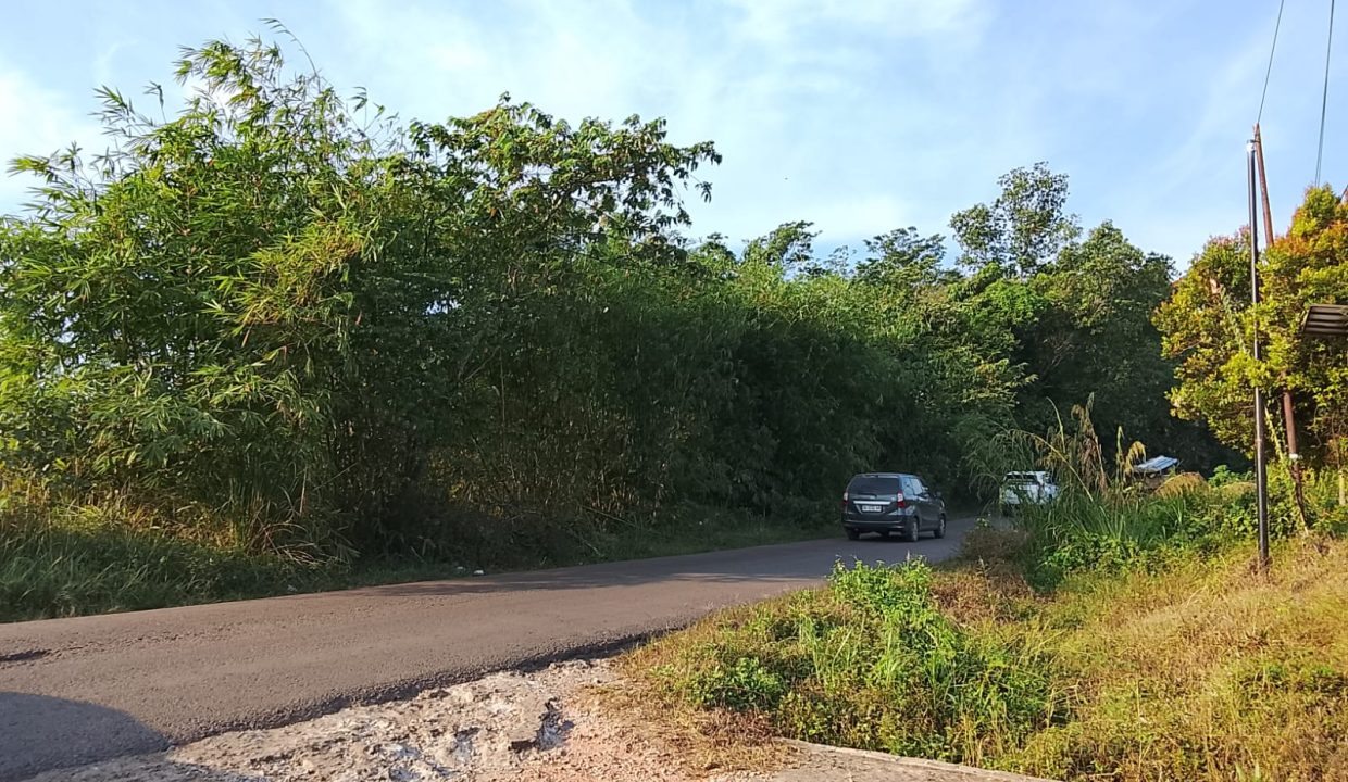 DIJUAL TANAH TANJUNG MERBAU (3)