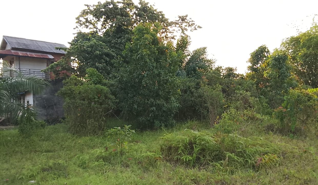 DIJUAL TANAH TANJUNG MERBAU BANYUASIN (2)