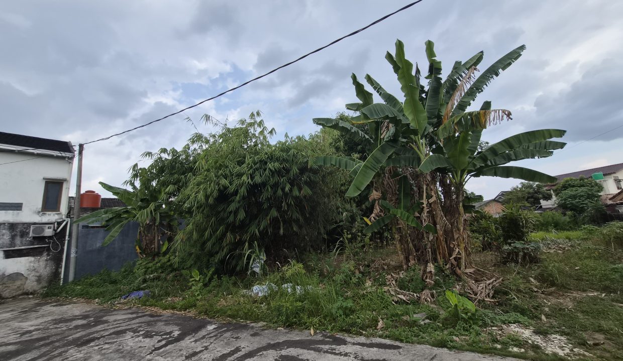 DIJUAL TANAH JALAN KANCIL PUTIH PULAU PALEMBANG (1)
