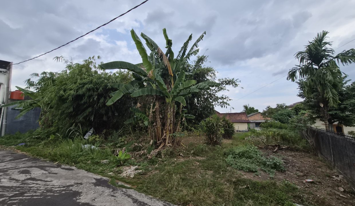 DIJUAL TANAH JALAN KANCIL PUTIH PULAU PALEMBANG (4)