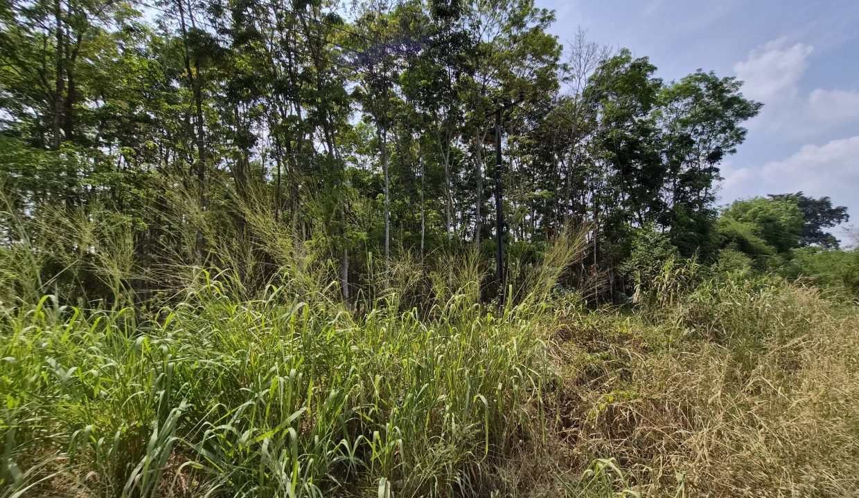 DIJUAL TANAH JALAN LINTAS TENGAH INDRALAYA (3)