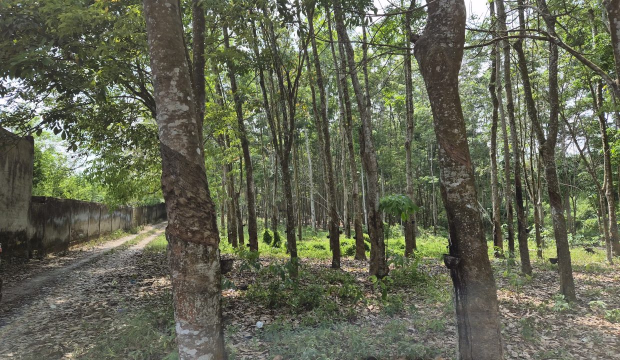 DIJUAL TANAH JALAN LINTAS TENGAH INDRALAYA (4)
