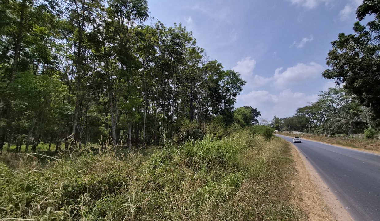 DIJUAL TANAH JALAN LINTAS TENGAH INDRALAYA (6)