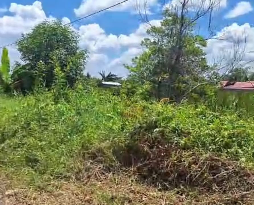 DIJUAL TANAH KARYA BARU PALEMBANG (4)