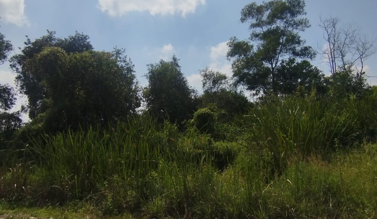 DIJUAL TANAH KERTAPATI PALEMBANG (1)