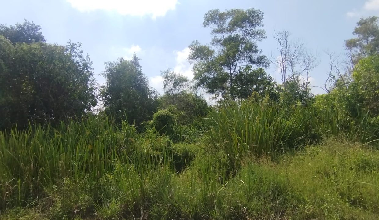 DIJUAL TANAH KERTAPATI PALEMBANG (2)