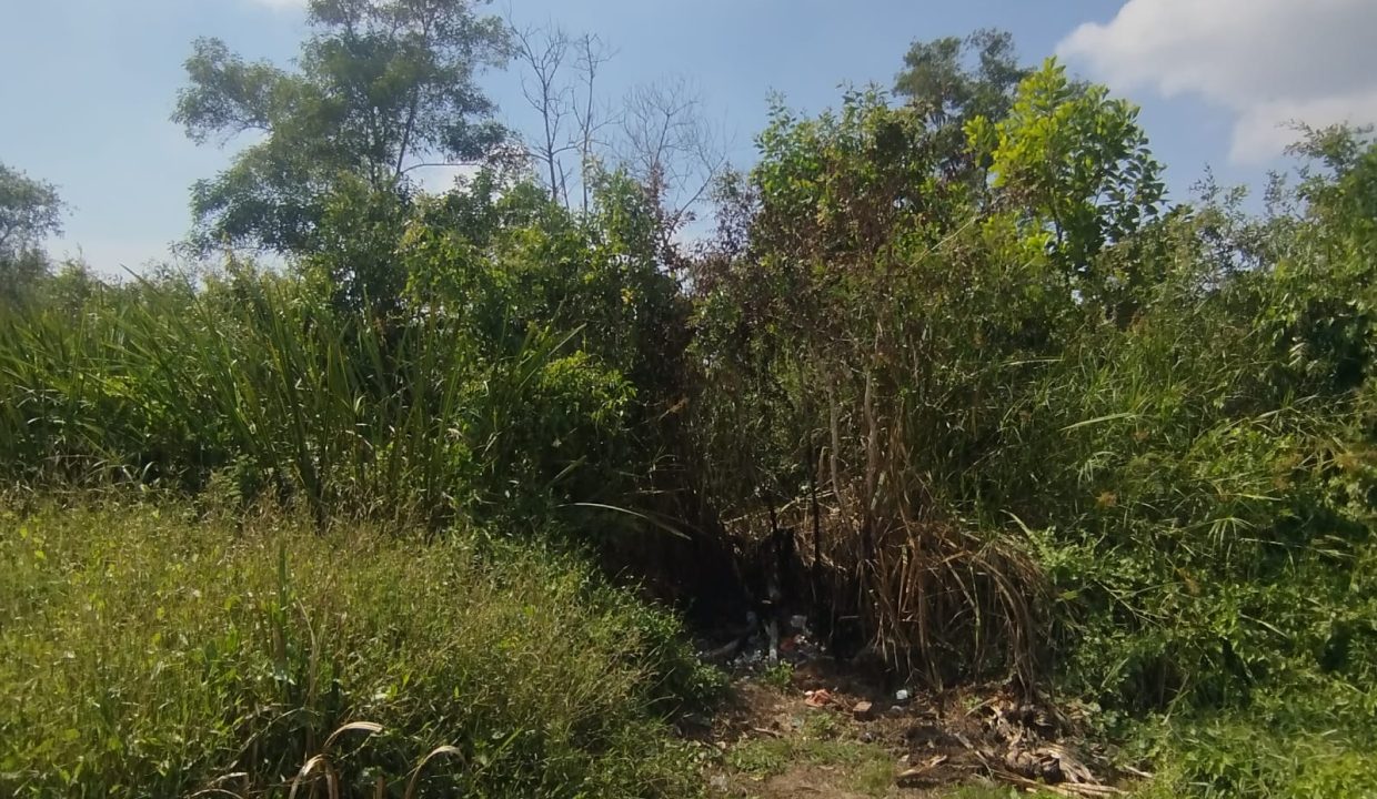 DIJUAL TANAH KERTAPATI PALEMBANG (4)