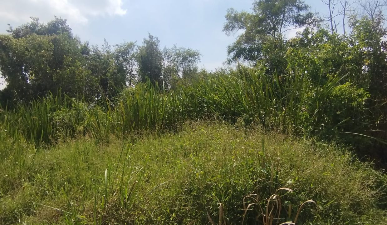 DIJUAL TANAH KERTAPATI PALEMBANG (5)