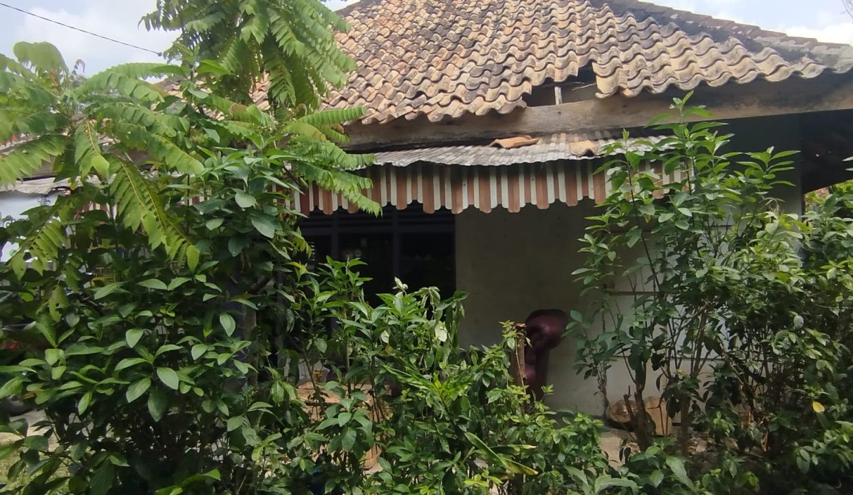 DIJUAL TANAH LR GUBAH PALEMBANG (6)