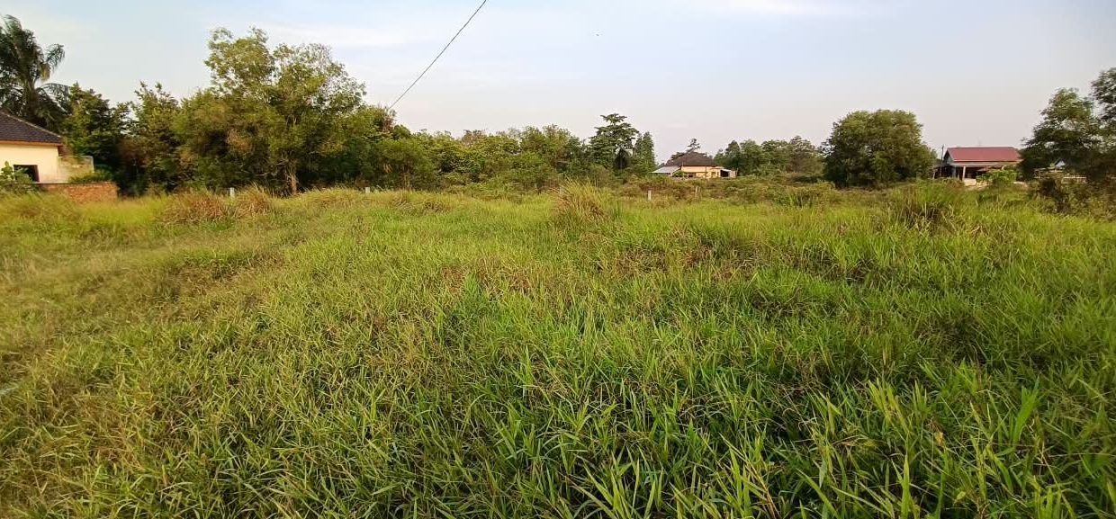 DIJUAL TANAH TANJUNG BARANGAN PALEMBANG (2)