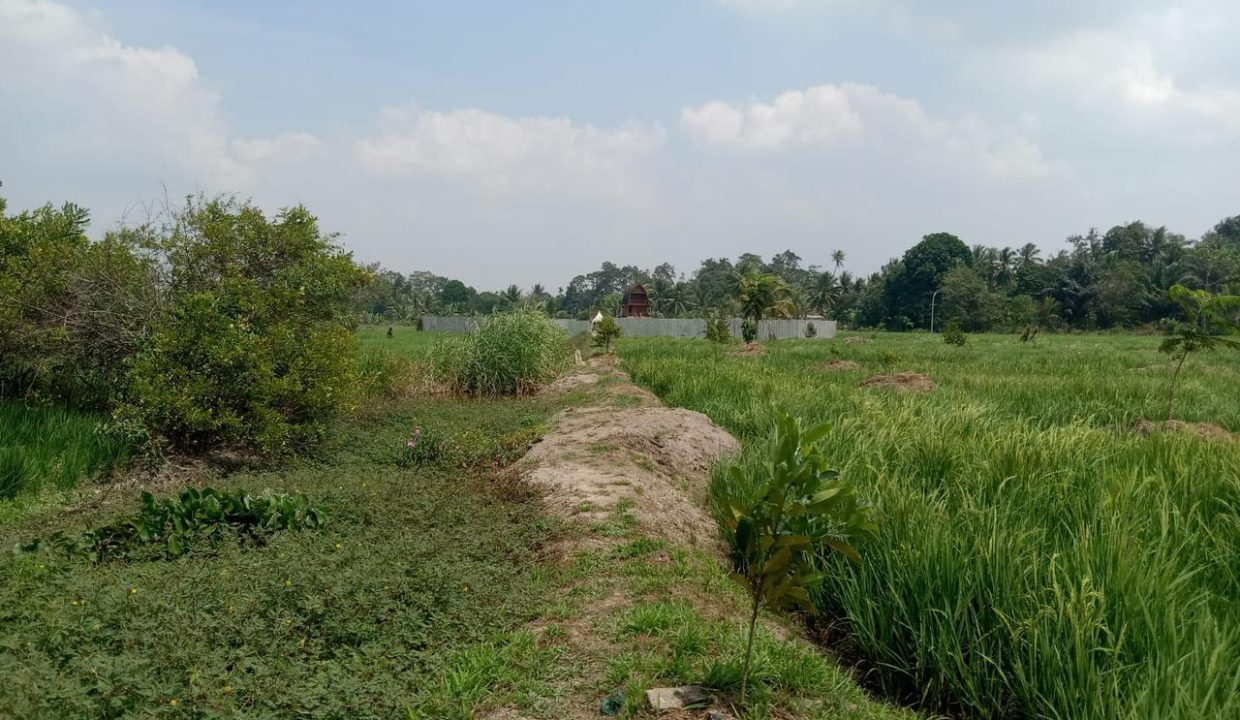 DIJUAL LAHAN KEBUN DUREN KALIDONI PALEMBANG (1)