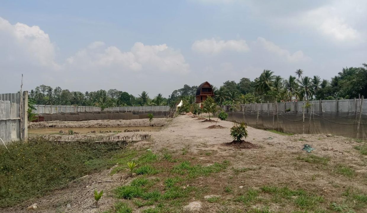 DIJUAL LAHAN KEBUN DUREN KALIDONI PALEMBANG (2)