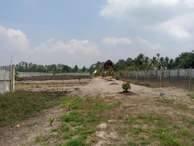 DIJUAL LAHAN KEBUN DUREN KALIDONI PALEMBANG (1)