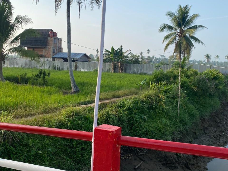 DIJUAL LAHAN KEBUN DUREN KALIDONI PALEMBANG (7)