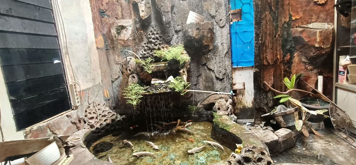 DIJUAL RUMAH SIAP HUNI DEMANG LEBAR DAUN PALEMBANG (6)