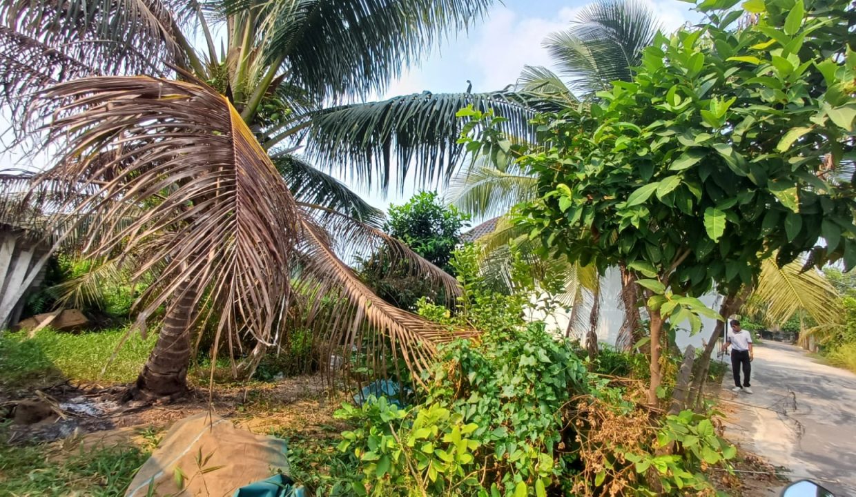 DIJUAL TANAH MACAN KUMBANG PALEMBANG (5)