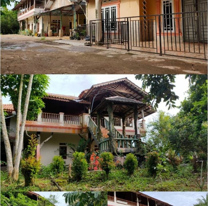 LAHAN PALMEBANG JAMBI (3)