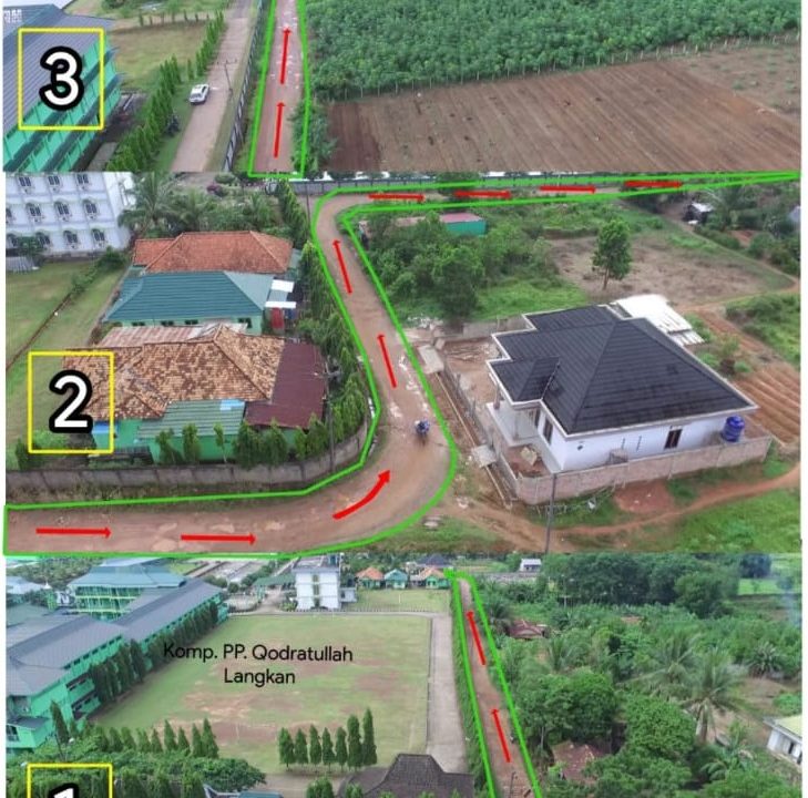 LAHAN PALMEBANG JAMBI (4)